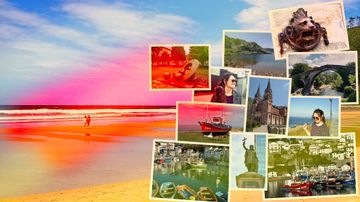 Tatiana Zappa Channel Banner